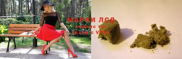 прущие грибы Алексеевка