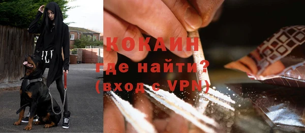 гидра Алексин