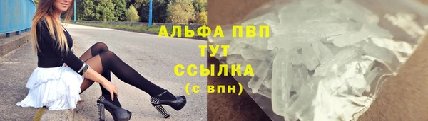 прущие грибы Алексеевка