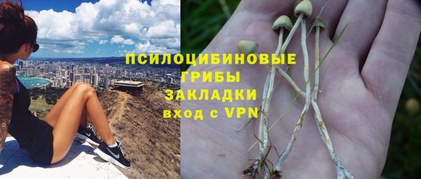 гидра Алексин