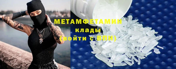 гидра Алексин